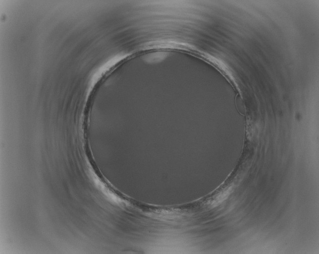 X0000067390995200604131927