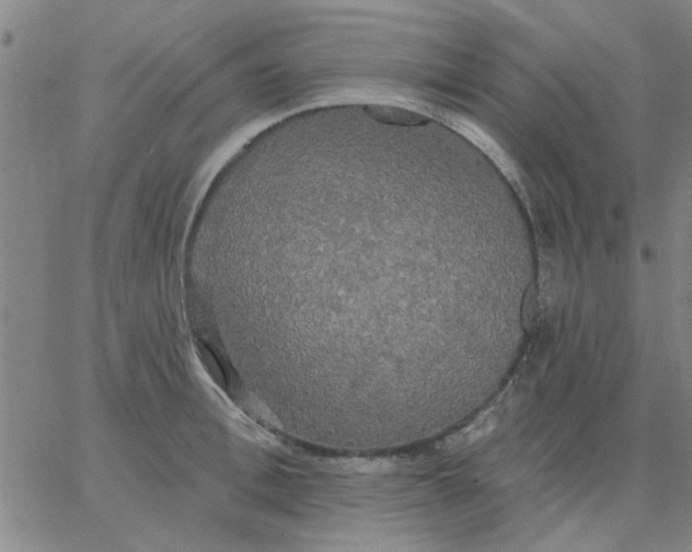 X0000067390996200604131927