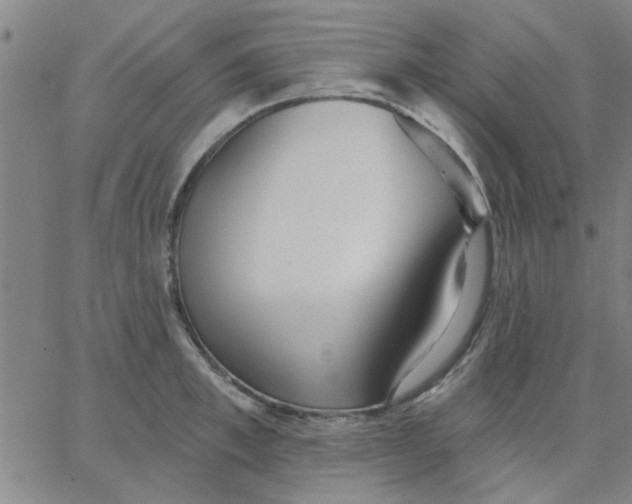 X0000067390997200604131927