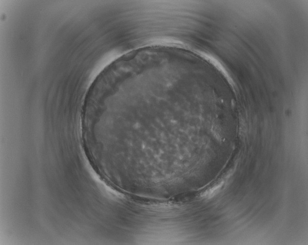 X0000067390999200604131927