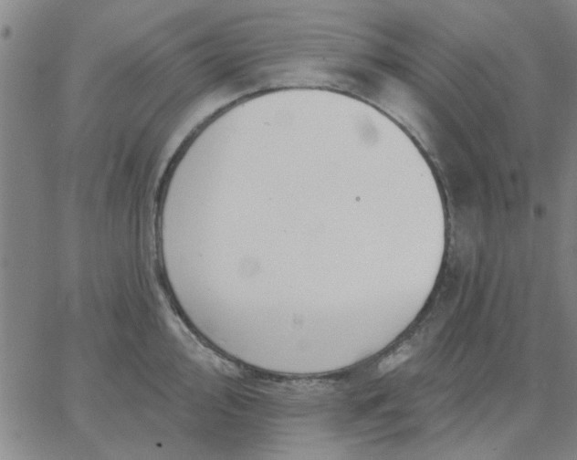 X0000067391000200604131927