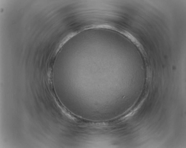 X0000067391001200604131927