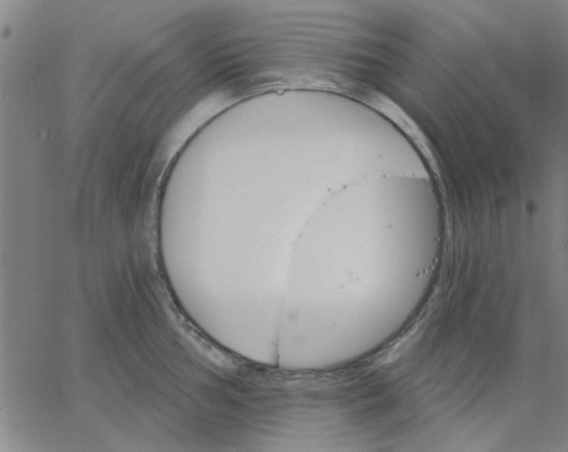 X0000067391002200604131927