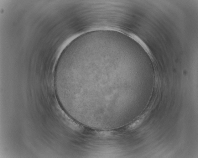 X0000067391004200604131927