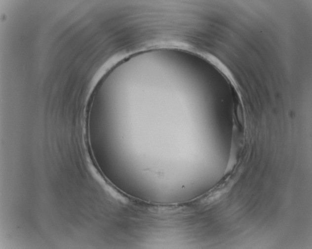 X0000067391005200604131927