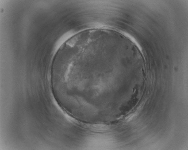 X0000067391007200604131927