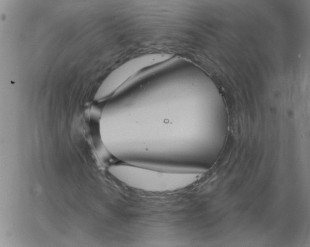 X0000067391010200604131926