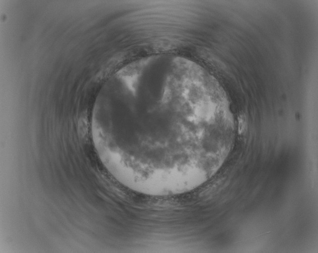 X0000067391011200604131926