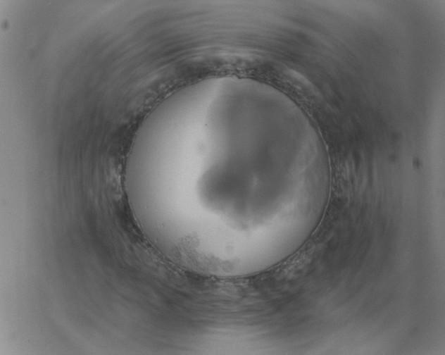 X0000067391013200604131926