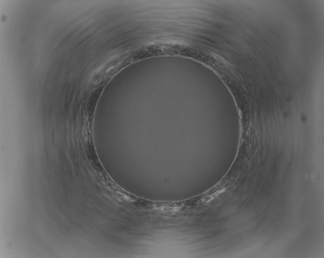 X0000067391014200604131926