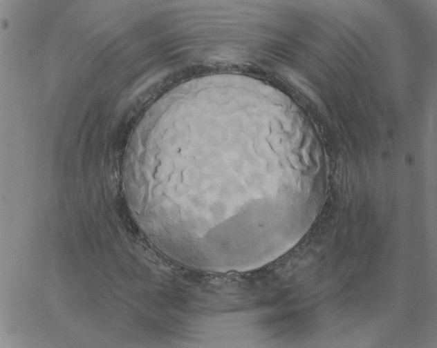 X0000067391015200604131926