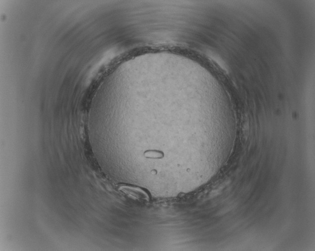 X0000067391016200604131926