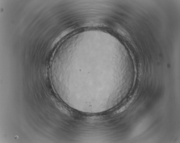 X0000067391017200604131926