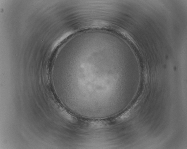 X0000067391018200604131926