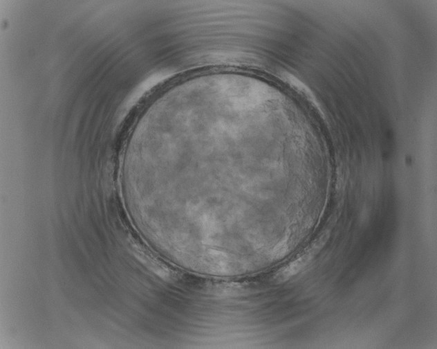 X0000067391019200604131926