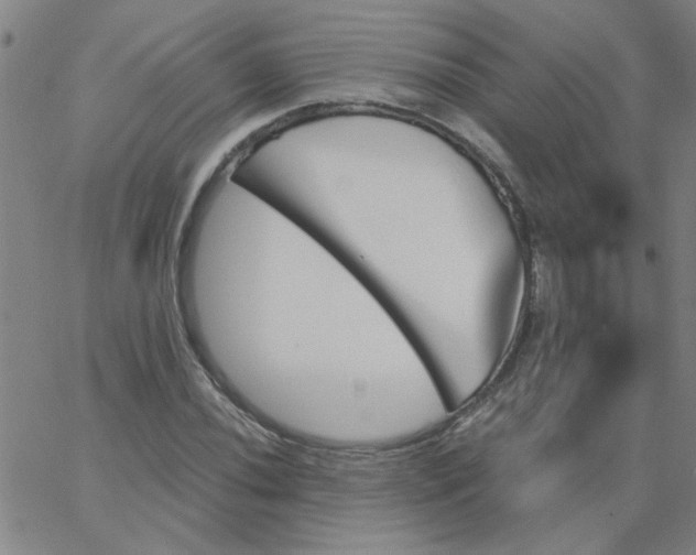 X0000067391020200604131926