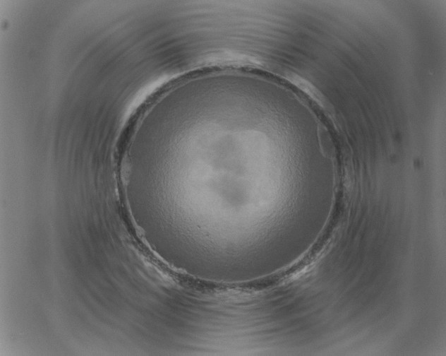 X0000067391022200604131926