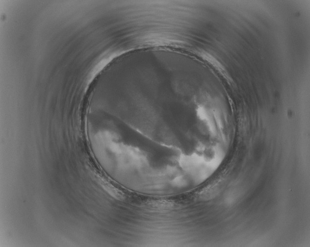 X0000067391023200604131926