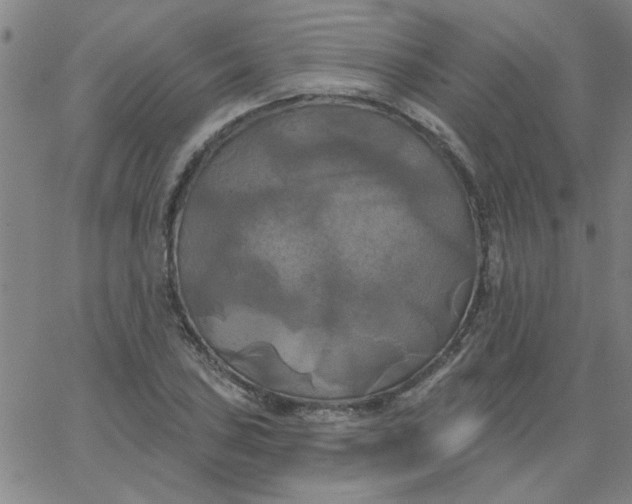 X0000067391027200604131926