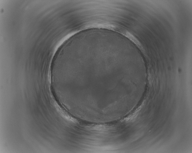 X0000067391028200604131926