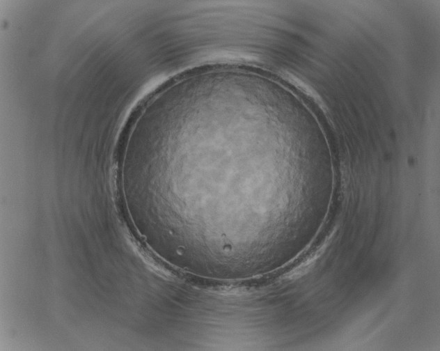 X0000067391029200604131926