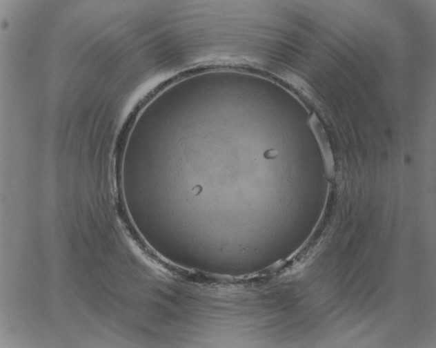 X0000067391030200604131926