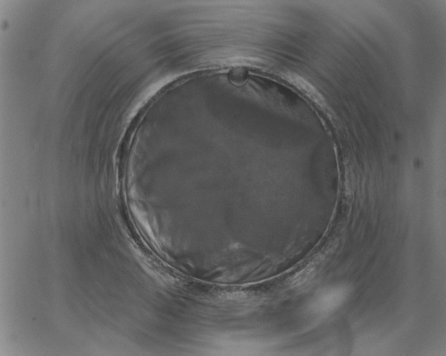 X0000067391031200604131926