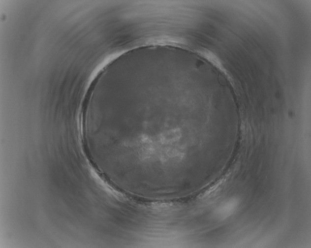 X0000067391032200604131926