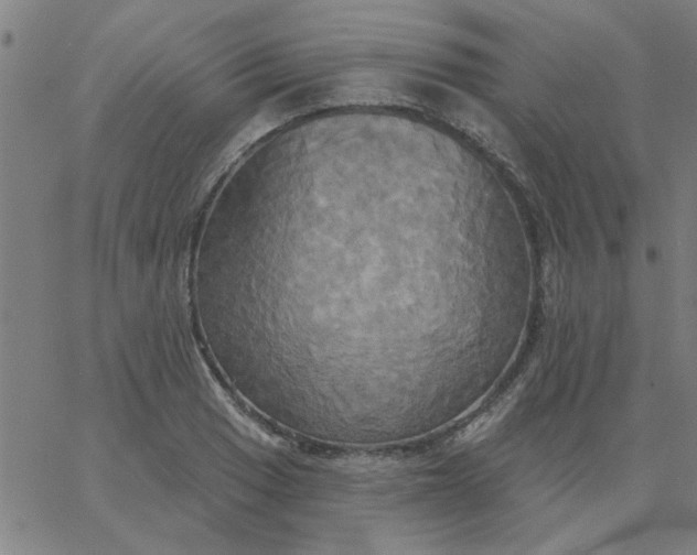 X0000067391033200604131926