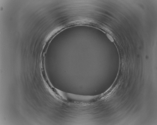 X0000067391034200604131926