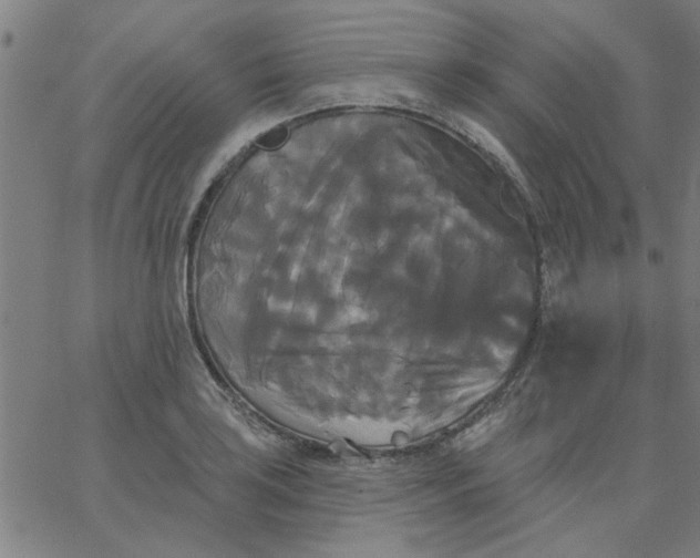 X0000067391035200604131926