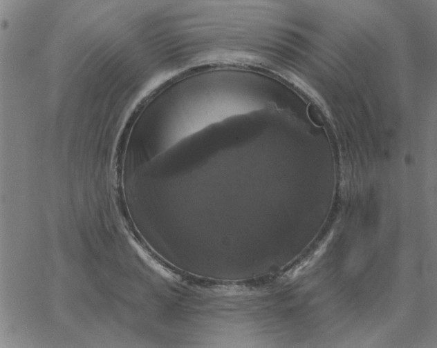 X0000067391037200604131926