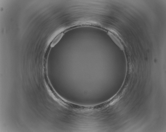 X0000067391038200604131926