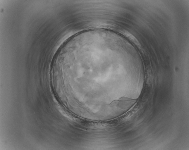 X0000067391039200604131926