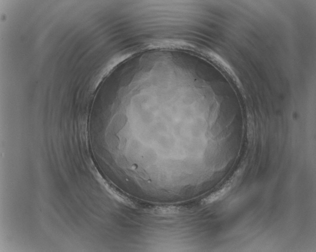 X0000067391041200604131927