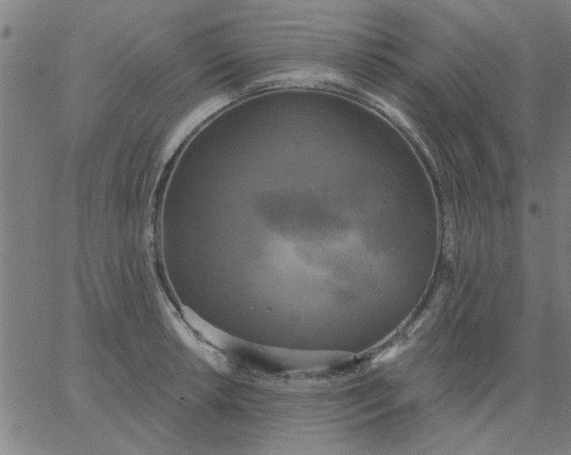 X0000067391042200604131927