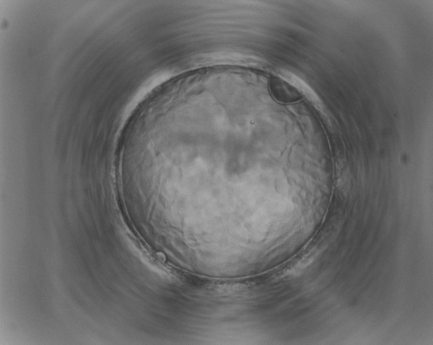 X0000067391043200604131927