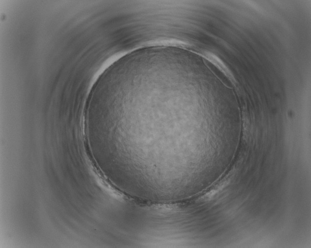 X0000067391044200604131927