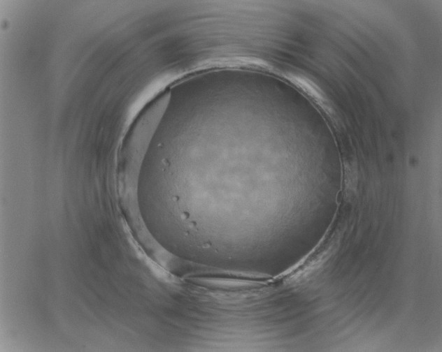 X0000067391046200604131927