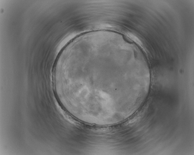 X0000067391047200604131927