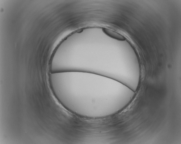 X0000067391048200604131927