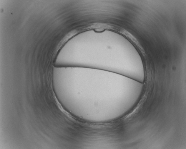 X0000067391049200604131927