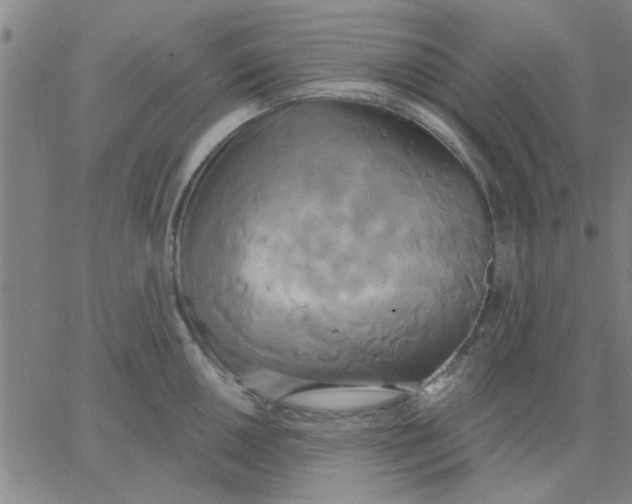 X0000067391050200604131927