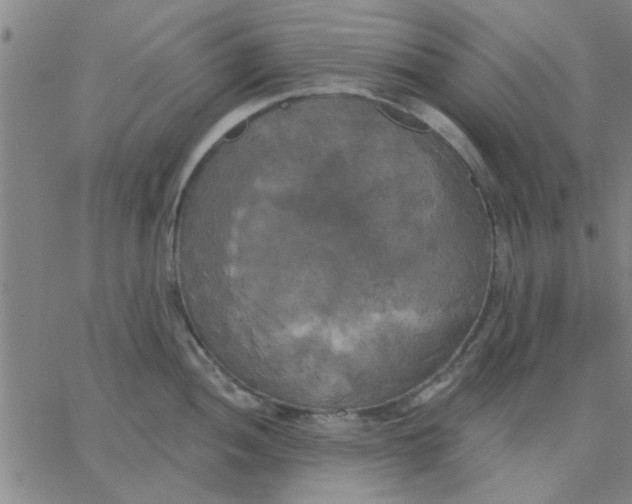 X0000067391052200604131927