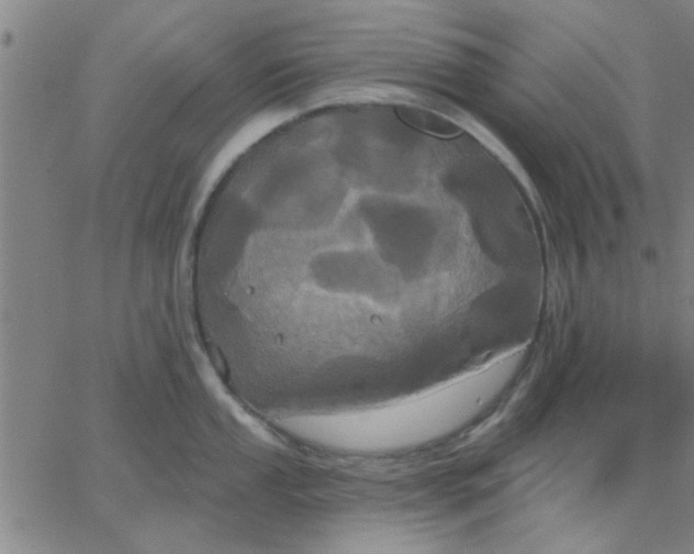 X0000067391053200604131927