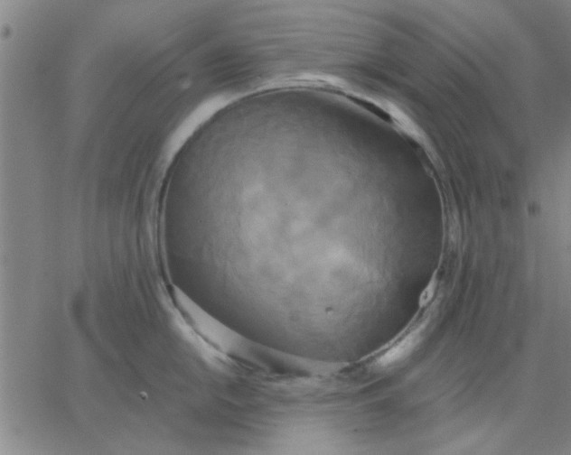 X0000067391054200604131927