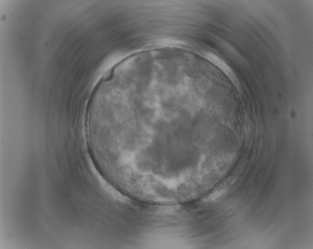 X0000067391055200604131927