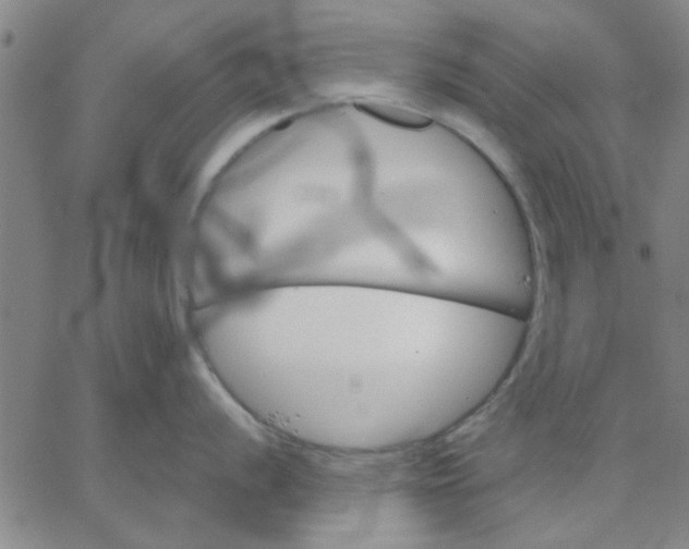 X0000067391056200604131927