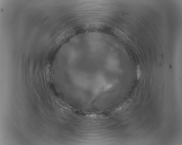 X0000067391059200604131926