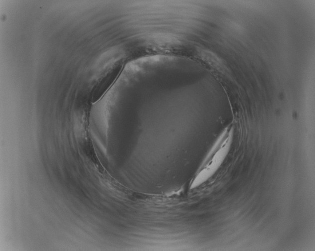 X0000067391060200604131926